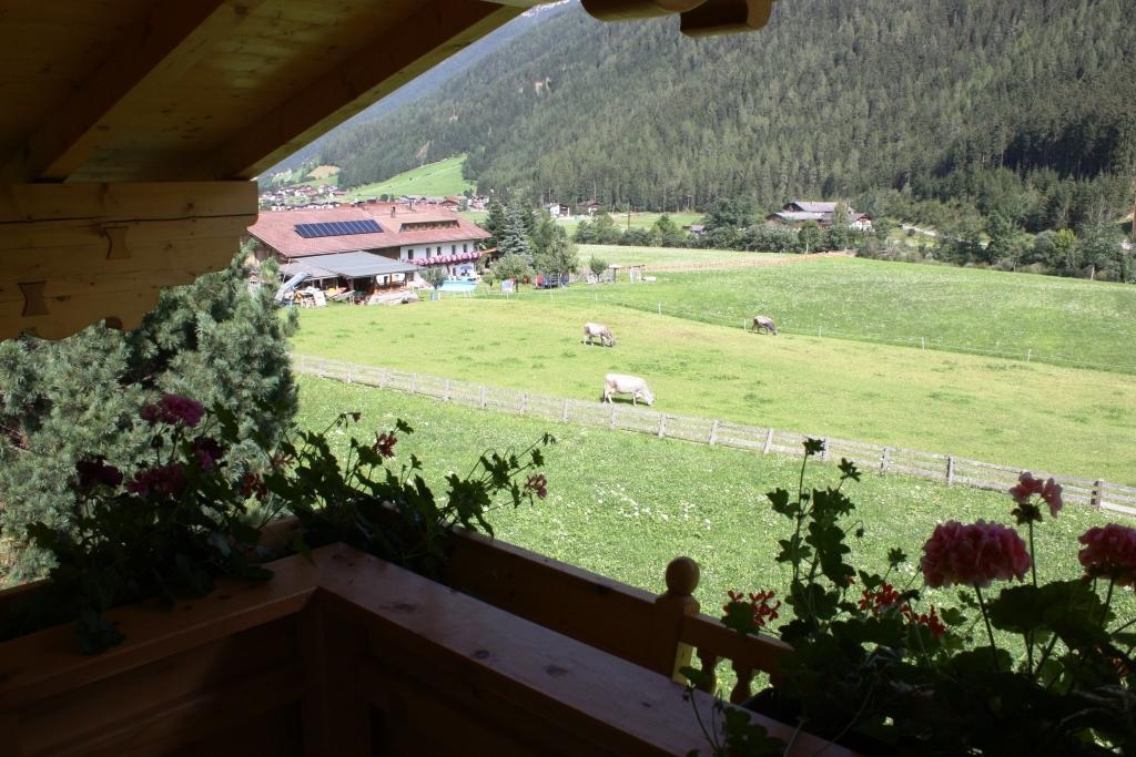 Landhaus Alpensonne Neustift im Stubaital Eksteriør bilde